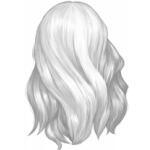 Longueur haut du dos D042