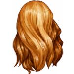 Longueur haut du dos D043