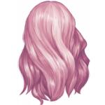 Longueur haut du dos D051