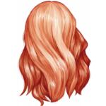 Longueur haut du dos D053