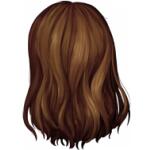 Longueur haut du dos D056