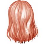 Longueur haut du dos D059