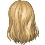 Longueur haut du dos D060