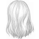 Longueur haut du dos D066