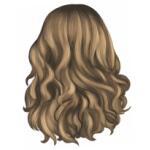 Longueur haut du dos D071