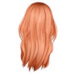 Longueur mi-dos G062