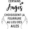 Certains anges choisissent la fourrure au lieu des ailes