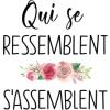 qui se ressemblent s'assemblent