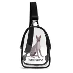 Unisex Transparent Sling Bag
