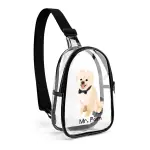 Unisex Transparent Sling Bag