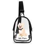 Unisex Transparent Sling Bag