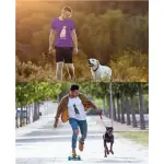 Men's Cotton T Shirt