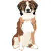 Australian Shepherds-09 4000cx4000