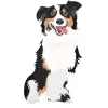 Australian Shepherds-11 4000cx4000