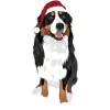 bernese - creative-market-christmas-pack-45 4000cx4000