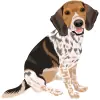 Beagle - Tricolor - Black, White, and Brown 3 1
