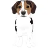 creative-market-beagles-05 1