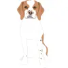 creative-market-beagles-06 1