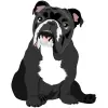 Bulldog - Black and White 1
