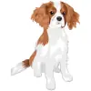 Cavalier King Charles Spaniel - Blenheim with Colors White and Chestnut 2