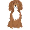 king-charles-cavalier-06