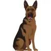 German Shepherd - Black and Tan 3 1