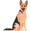 German-shepherd-01 1