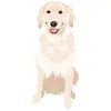 Golden Retriever - Cream 1