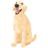 Golden Retriever - Cream with Colors 1