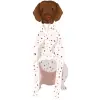German Shorthaired Pointer - Liver & White with Ticking 1