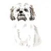 creative-market-shih-tzus-04 1