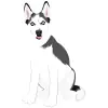 creative-market-huskies-13 1