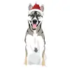 husky - creative-market-christmas-pack-38 1