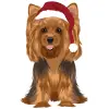yorkie - creative-market-christmas-pack-24 1