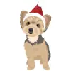 yorkie - creative-market-christmas-pack-34 1