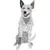 Australian Cattle Dog - 4 - Blue Speckle