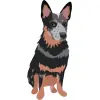 Australian Cattle Dog - 2 -  Blue with Tan