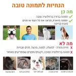 קנבס הרוזנת החתולה - קנבס בעיצוב והתאמה אישית עם תמונה של הילדה - מתנה לילדה, מתנה ליום הולדת, מתנה מקורית, קנבס בעיצוב אישי
