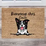 [EU] Carpet