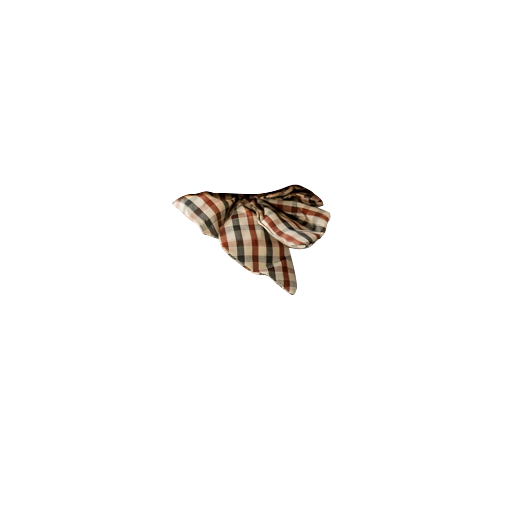 zoom