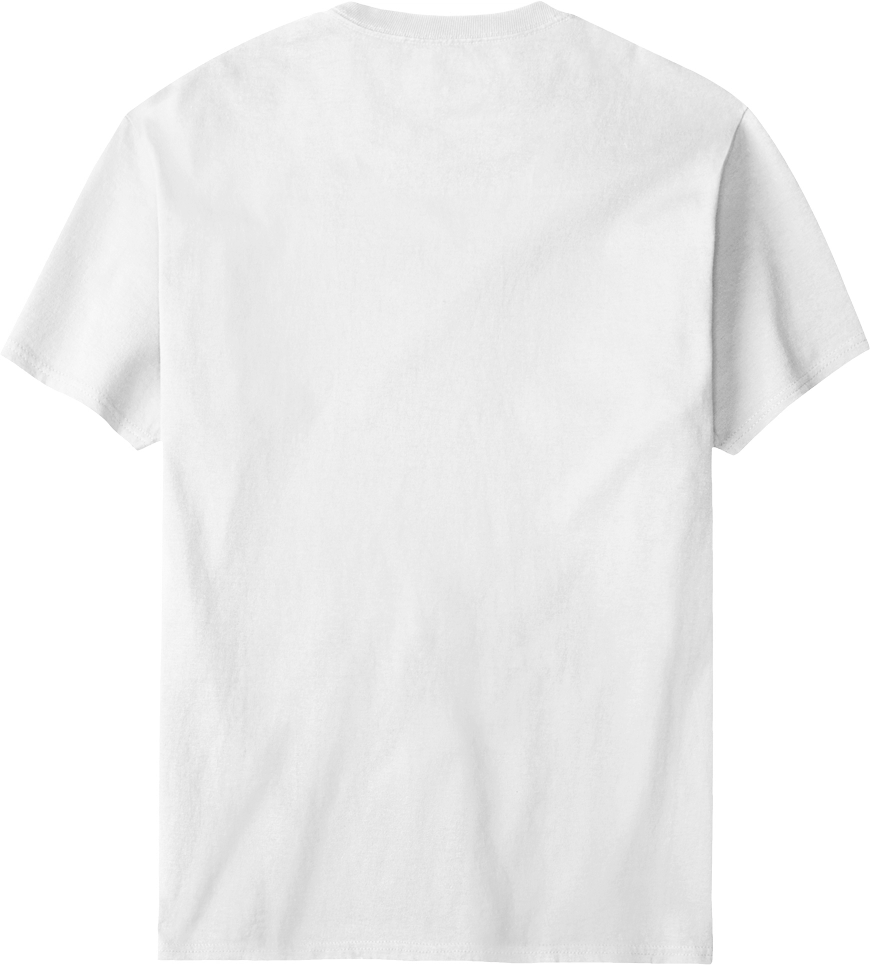 Big Dogs Box Logo Custom T-shirt