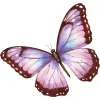 Butterflies-Watercolor_0000s_0007_Ebene-1