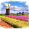 Windmill and Tulips Field