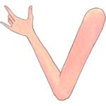 Arme-Links-Hell_0004s_0001s_0000_Wein-Arm