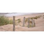 Hintergrund_0001s_0006_Strand