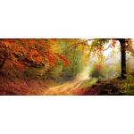 Hintergrund_0001s_0003_Herbst