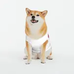 AOP Big Dog's Tank Top Edit