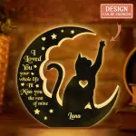 Custom Shape Photo Light Box Light CAT