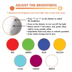 Custom Shape Photo Light Box Light CAT