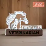 Custom Shape Acrylic Plaque AVA New